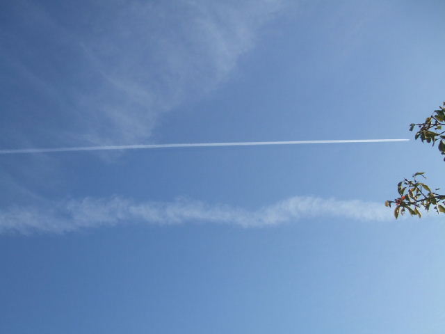 f0005081_209507.jpg