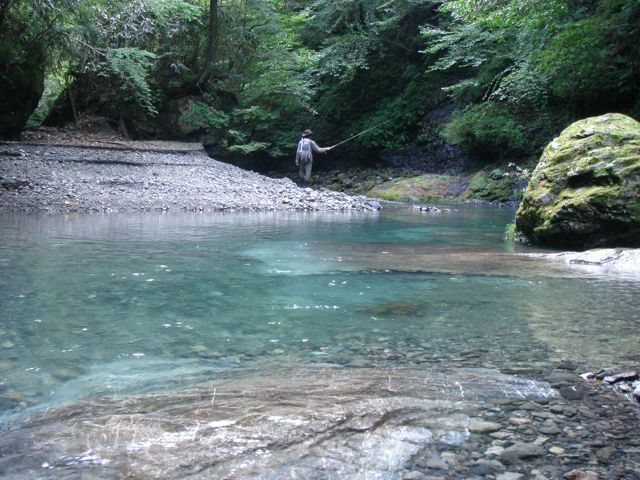 e0129083_20214627.jpg
