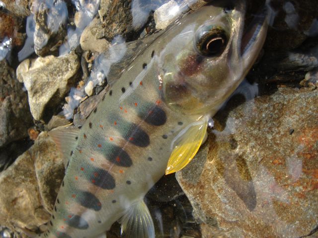 e0129083_20454961.jpg