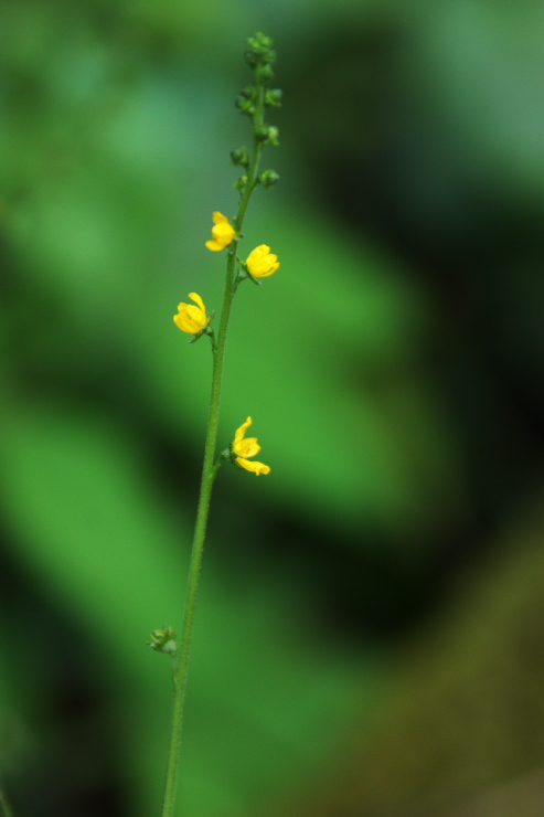 b0061787_23205212.jpg