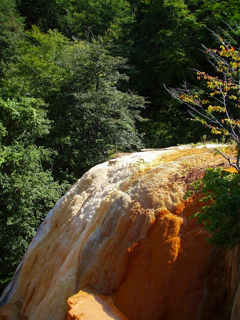 a0067991_944591.jpg