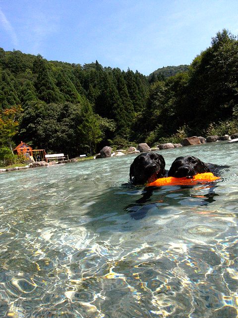 a0093592_030610.jpg
