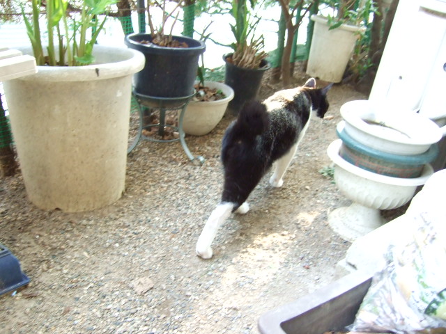 c0150193_16332613.jpg