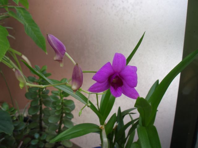 f0130894_21464580.jpg