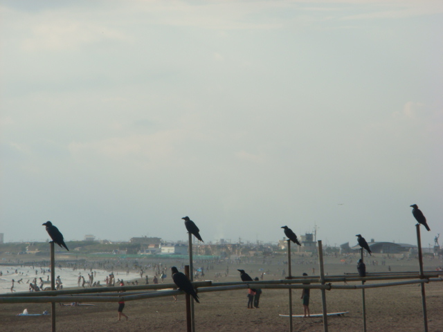 f0137694_832593.jpg