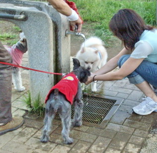 c0138198_15473229.jpg