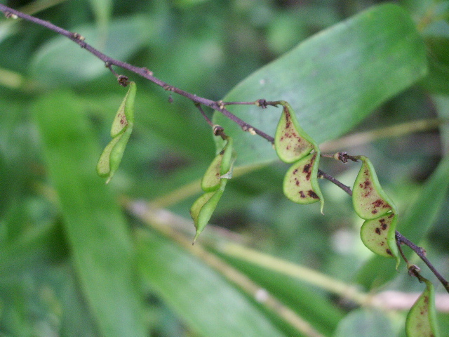 e0025300_15544523.jpg