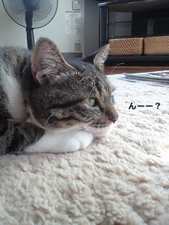 c0035001_21194999.jpg