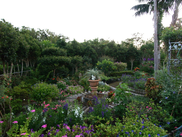 e0089001_2111080.jpg