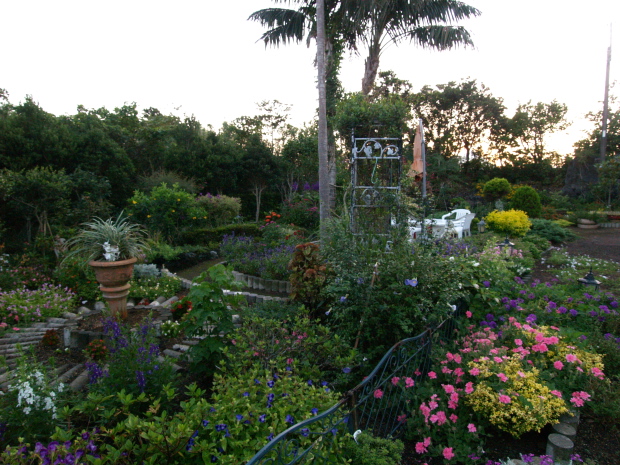 e0089001_21154597.jpg
