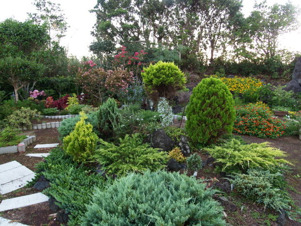 e0089001_21192290.jpg