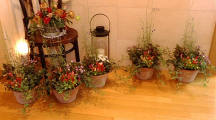 c0152002_21574415.jpg