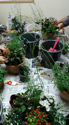 c0152002_21585273.jpg