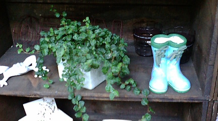 c0152002_22141.jpg