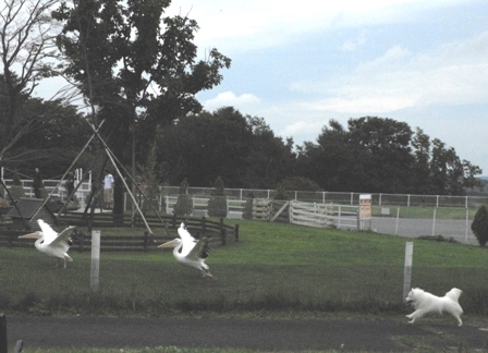 e0018604_14111851.jpg