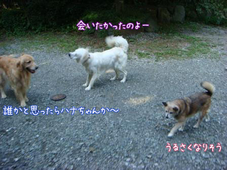 f0064906_17245777.jpg