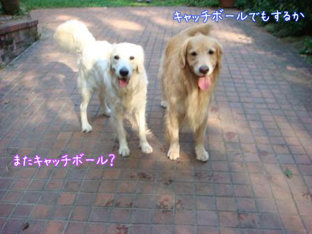 f0064906_17283461.jpg