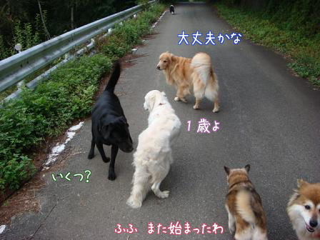 f0064906_1740246.jpg