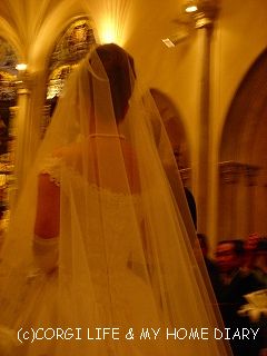 c0153410_11283234.jpg