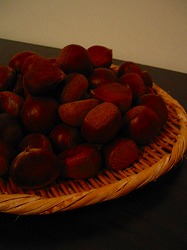 c0094621_1692366.jpg