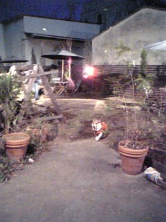 f0182121_1022635.jpg