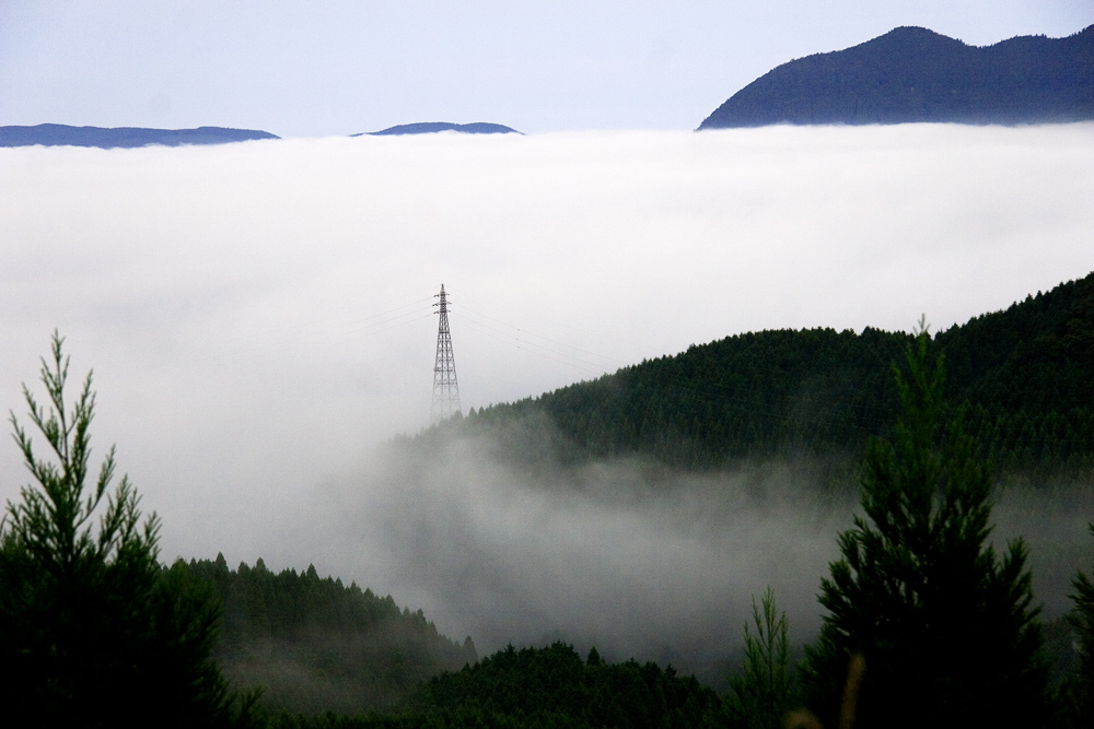 d0136836_17103771.jpg