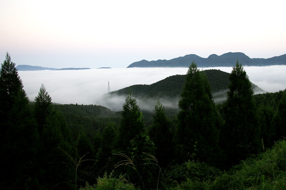 d0136836_17105440.jpg