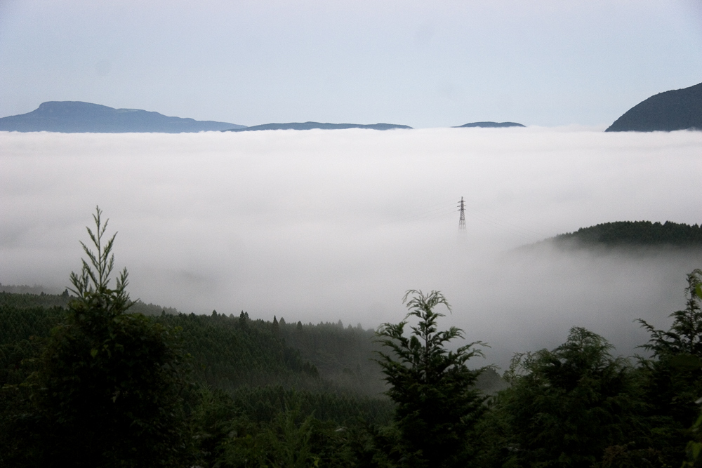 d0136836_1731987.jpg