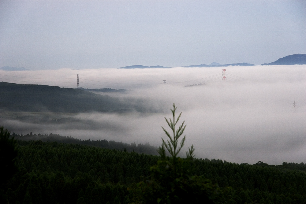 d0136836_179143.jpg