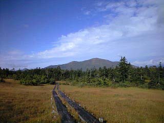 d0107938_20233165.jpg