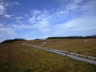 d0107938_202815100.jpg