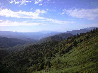 d0107938_20361688.jpg