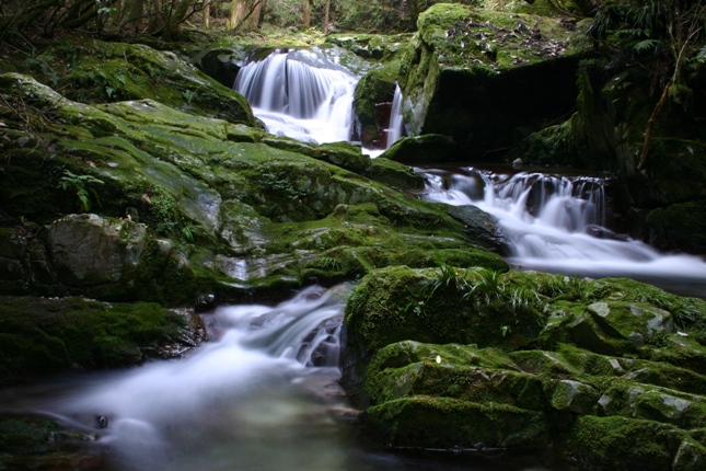 e0083238_22571378.jpg