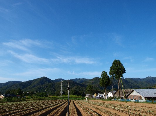 c0072843_2121330.jpg