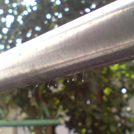 e0034047_17243713.jpg