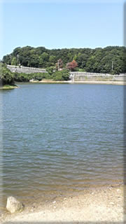 e0045847_2347118.jpg