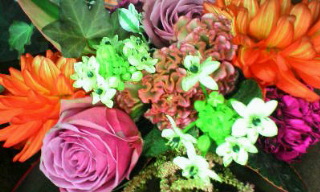 f0071647_2029139.jpg