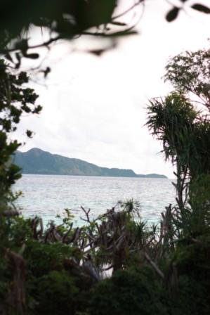 b0070950_023855.jpg