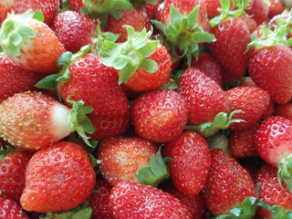 e0004756_2111898.jpg