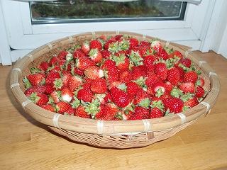 e0004756_2114353.jpg
