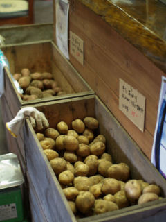 f0107364_16264216.jpg