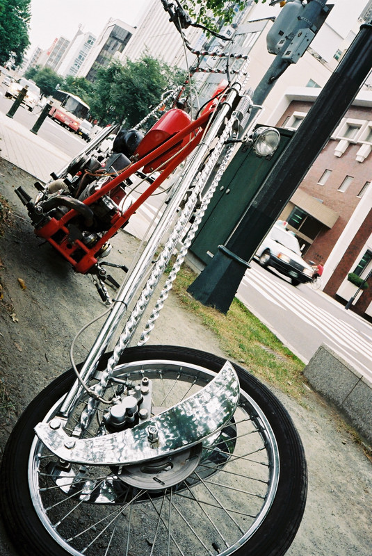 c0084666_1112360.jpg
