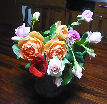 c0052470_8593242.jpg