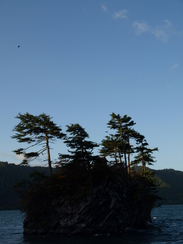 f0191170_2058361.jpg