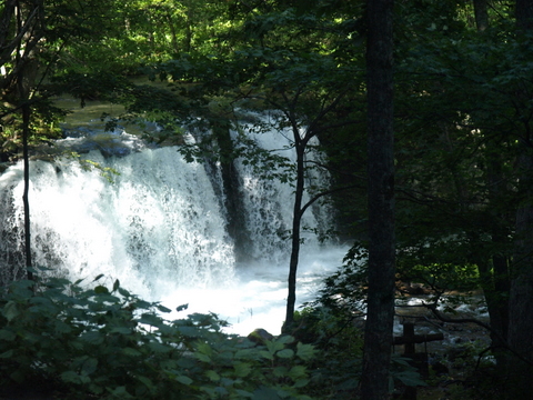 f0191170_2120026.jpg