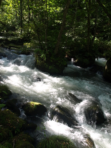 f0191170_21204379.jpg