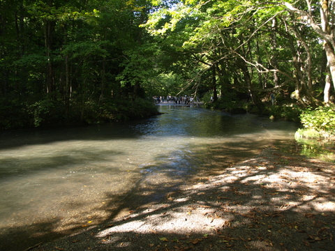 f0191170_21205332.jpg