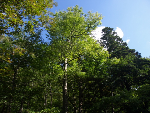 f0191170_21213525.jpg