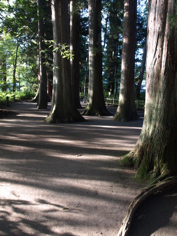 f0191170_2123362.jpg
