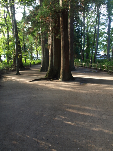 f0191170_2124798.jpg